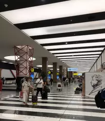 Зона получения багажа в аэропорту Шереметьево
